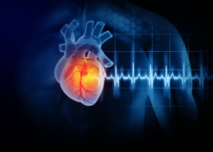 Mengenal EKG, Alat Medis yang Digunakan untuk Mencatat Aktivitas Listrik Jantung 