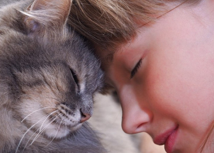 10 Tanda Kucing Mencintai Anda, Perhatikan Gerak-Geriknya