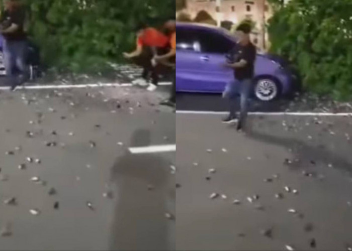 Heboh! Ratusan Burung Pipit Mati Massal di Bandara Ngurah Rai Bali, Ini Penyebabnya