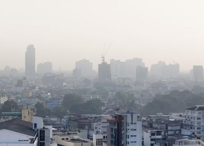 Polusi Udara Memburuk, Pemprov DKI Jakarta Terapkan WFH 50 Persen Bagi ASN