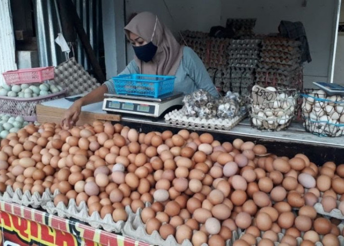 Ingat Batasannya, Penderita Kolesterol Tinggi Disarankan Tak Mengonsumsi Telur Berlebihan, Ini Risiko Buruknya