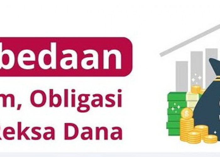 Perbedaan Saham, Obligasi, dan Reksa Dana: Mana yang Cocok untuk Anda?