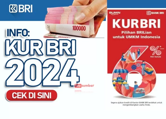 KUR BRI, Jadi 'Pahlawan' Permodalan UMKM