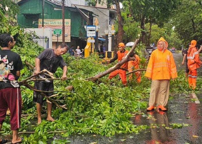 Jadi Korban Pohon Tumbang di Jakarta, Segini Jumlah Santunan yang Bakal Diterima