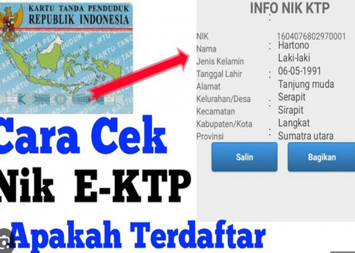 Tidak Perlu Ke Dukcapil, Begini Cara Cek KTP online