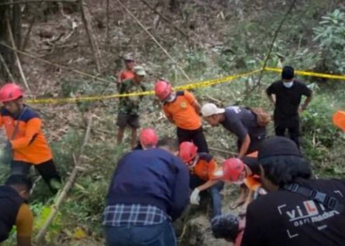 Gempar! Penemuan Kerangka Tubuh Manusia di Area Perkebunan Temanggung Hebohkan Warga Sekitar