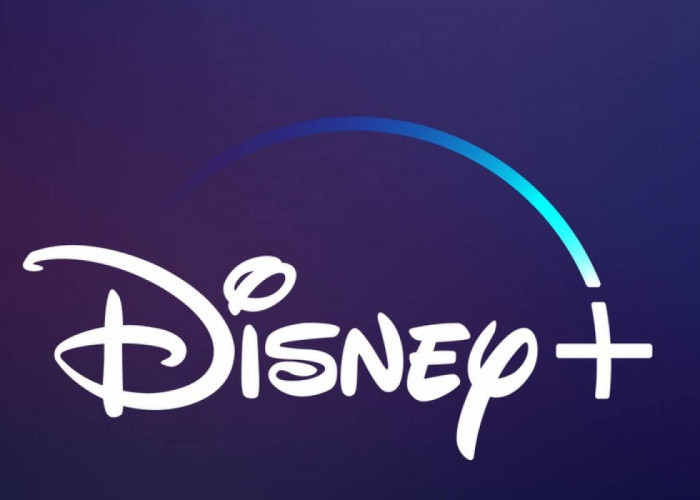 Disney Plus Ikuti Jejak Netflix Bikin Larangan Berbagi Password Untuk Nonton, Cek Skema Bea Langganan-nya!