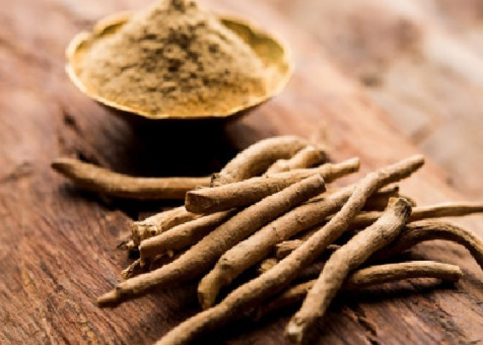 Mengatasi Stress dengan Ginseng India: Mitos atau Fakta?