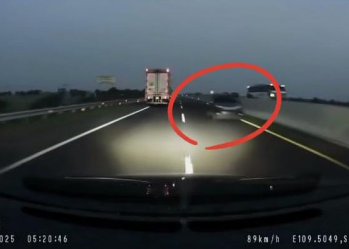 Kecelakaan Bus Rombongan Suporter Persebaya Bertabrakan dengan BR-V Lawan Arus Tanpa Lampu di Tol Pekalongan