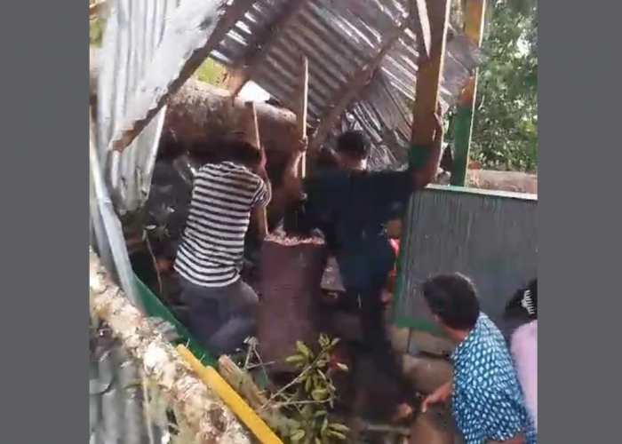 Tragis! Video 9 Orang Tewas Tertimpa Pohon Tumbang di Lokasi Wisata Soppeng