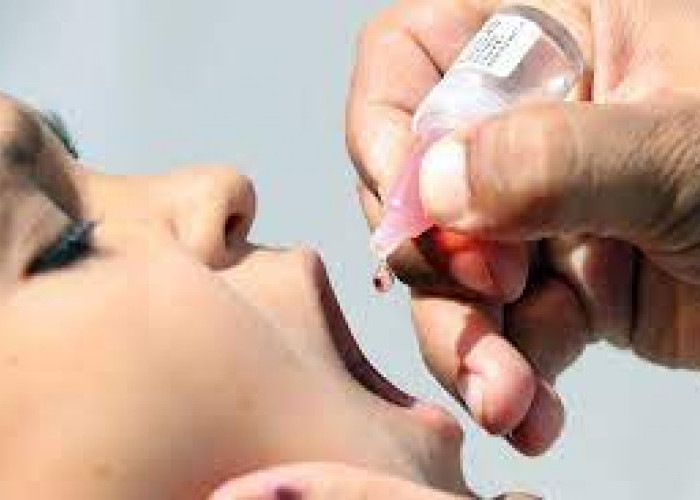 Penting! Imunisasi Polio Bagi Bayi dan Anak Berguna Cegah Kelumpuhan dan Kematian