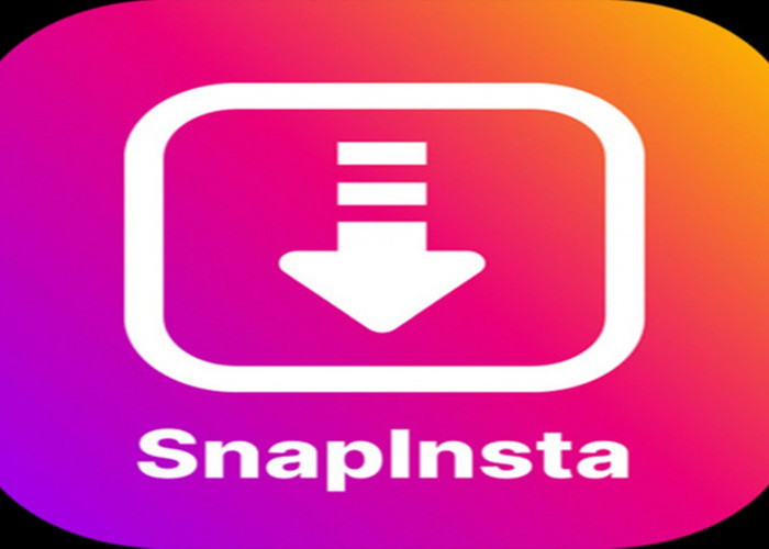 Tanpa Aplikasi, Download Video Instagram dari Snapinsta.app dengan Mudah!