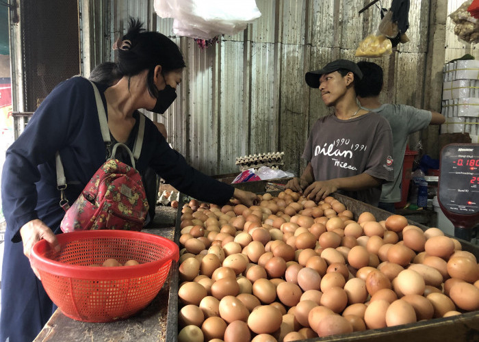 Harga Telur Ayam di Depok Tembus Rp29 Ribu per Kilogram Jelang Ramadhan 2024