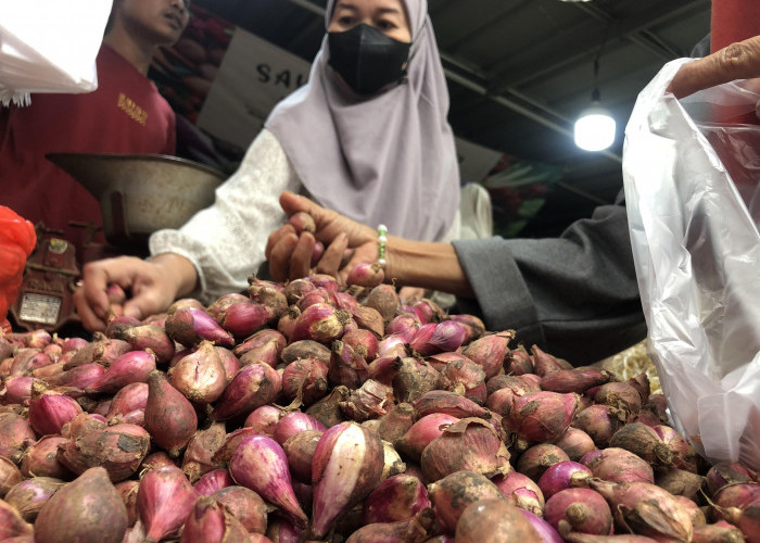 Jelang Ramadhan 2024, Harga Bawang Merah Melonjak Rp35 Ribu per Kilogram