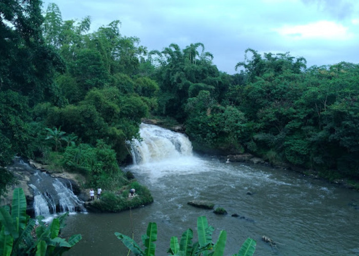 Menjelajah Keindahan Coban Amprong, Wisata Tersembunyi di Malang