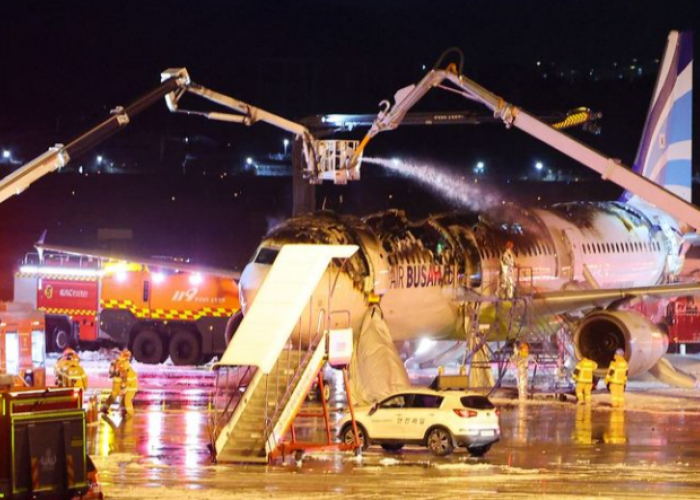 Pasca Insiden Jeju Air sekarang Air Busan, Ada apa dengan Maskapai Korea Selatan?