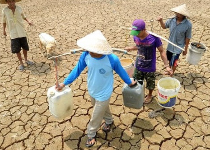 Kemarau Panjang, Banyumas Alami Krisis Air