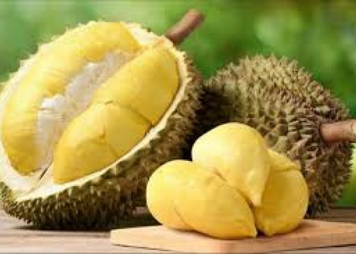 Tips Memilih Durian yang Manis dan Berdaging Tebal