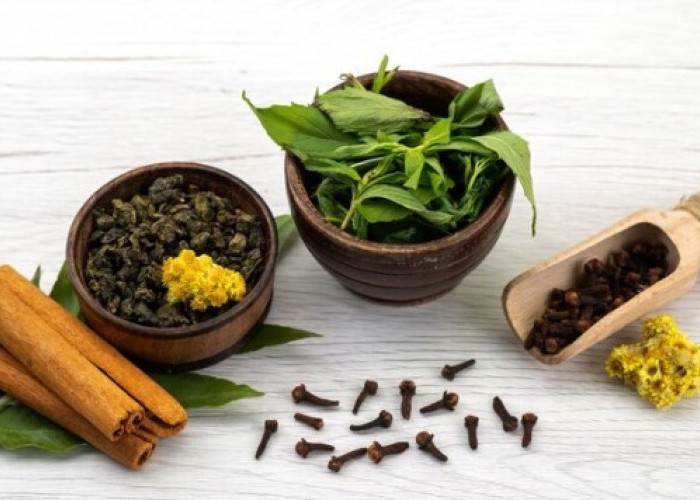 4 Rekomendasi Obat Herbal yang Bisa Kamu Gunakan Untuk Atasi dibetes Melitus