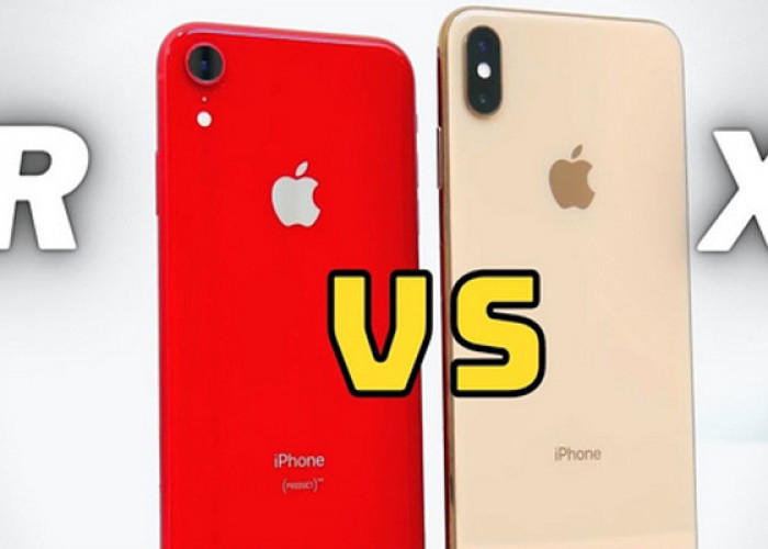 Lebih Baik Mana, Iphone XR atau Iphone XS Max?