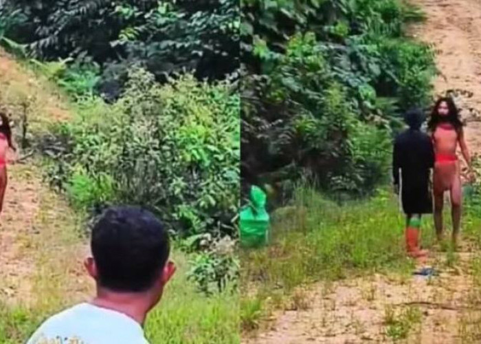 Viral! Suku Togutil Halmahera Kembali Muncul dan Temui Sejumlah Pekerja 