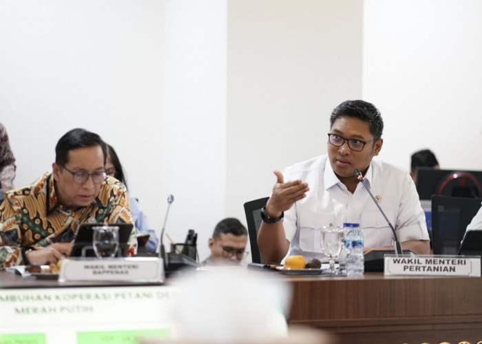 Penghapusan Kuota Impor Tidak Ancam Petani Lokal, Ini Penjelasan Wamentan Sudaryono Tegaskan