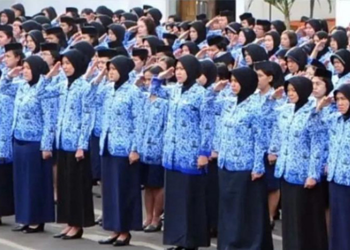 Jumlah Tenaga Honorer Indonesia 2023 Semakin Meningkat Menjadi 5,6 Juta, Akankah Dihapus?