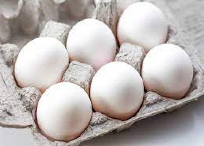 Manfaat Telur Ayam Kampung Untuk Pengobatan 