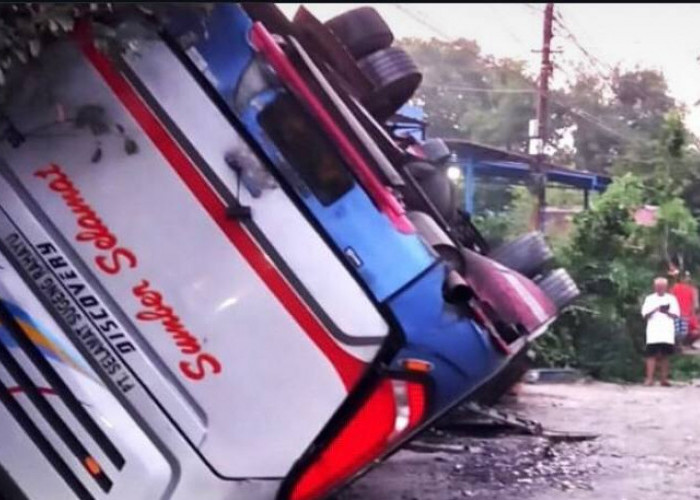 Tragis! Diduga Hindari Pemotor yang Mabuk, Bus di Magetan Alami Kecelakaan hingga Terbalik