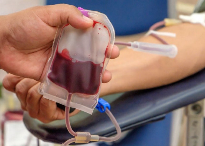 5 Manfaat Donor Darah untuk Kesehatan, Pahami Panduannya