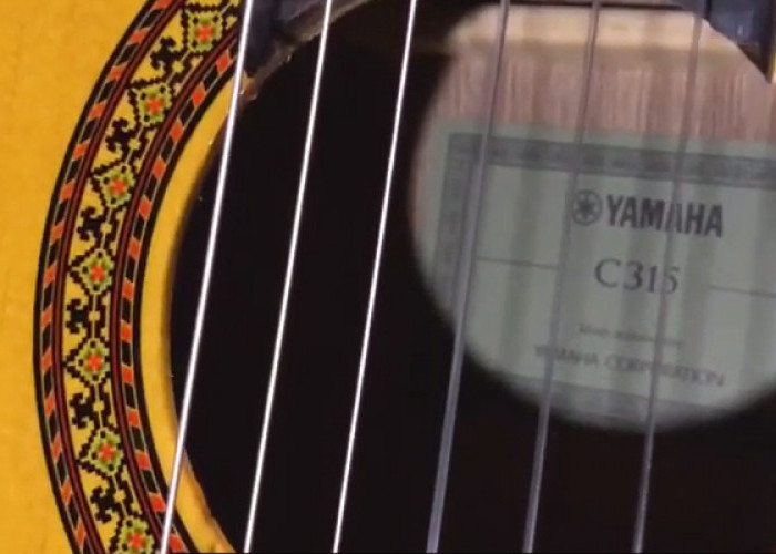 Rivew Spesifikasi dan Harga Gitar Yamaha C315