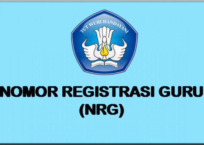 Cara Mudah Mendapatkan Nomor Registrasi Guru dan Cek NRG Sertifikasi Kemdikbud