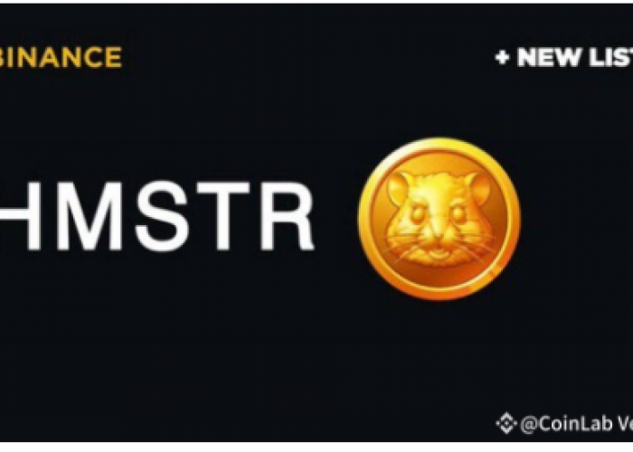 Masuk Listing Agustus 2024 di Binance, Ini Syarat Hamster Kombat Lolos Bursa Kripto