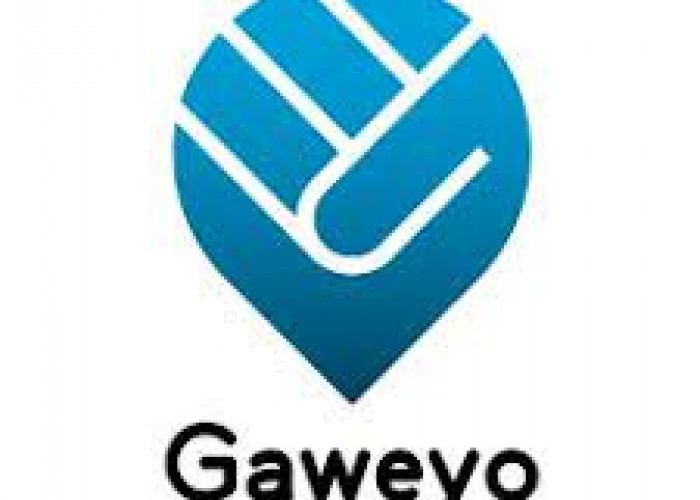 Gaweyo Aplikasi Penghasil Uang Dana Paling Gacor 2023
