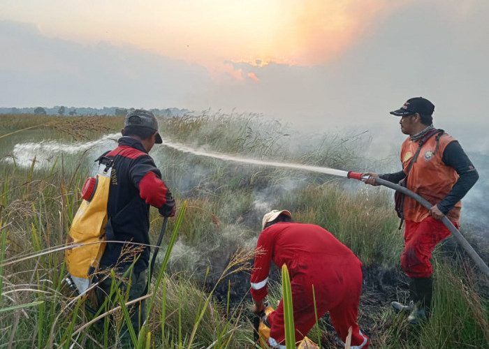 Ulah Pemburu Liar, Satwa Dilindungi Di Taman Nasional Way Kambas Kabupaten Lampung Timur Mati Terbakar