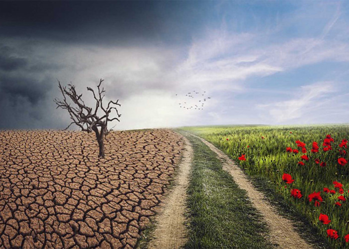 Perubahan Iklim: Penyebab dan Upaya Pencegahan