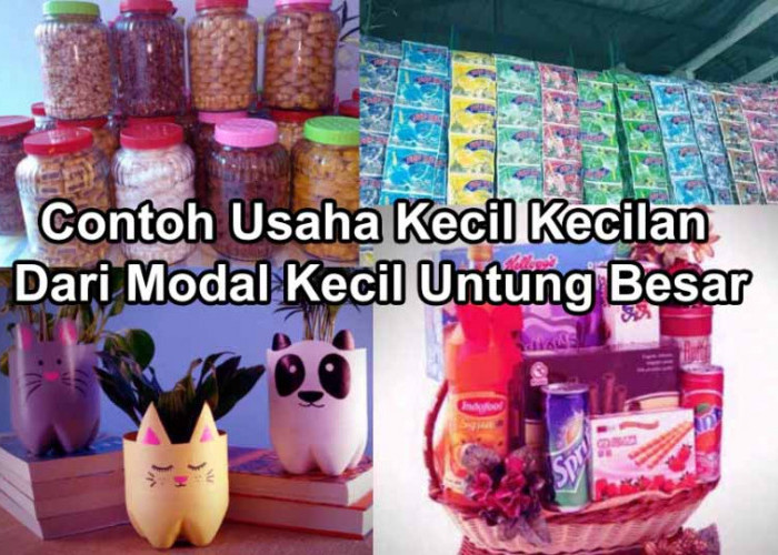 Yuk,  Coba Berbisnis dari Rumah Modalnya Kecil Tapi untungnya Menggiurkan 