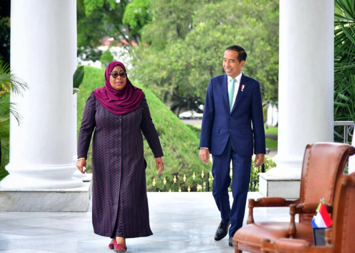 Presiden Jokowi: Indonesia-Tanzania Sepakat Perkuat Kerjasama di Sejumlah Bidang 
