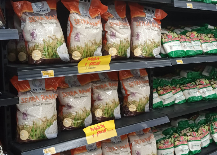 Harga Mulai Turun, Beras Premium Kembali Banjiri Supermarket: Stok Baru Langsung Habis Diserbu Pembeli