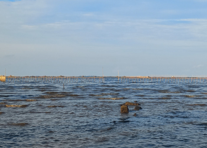 Begini Modus Pemasangan Pagar Laut Misterius versi Warga, Sejak 6 Bulan Lalu Gunakan Kapal 