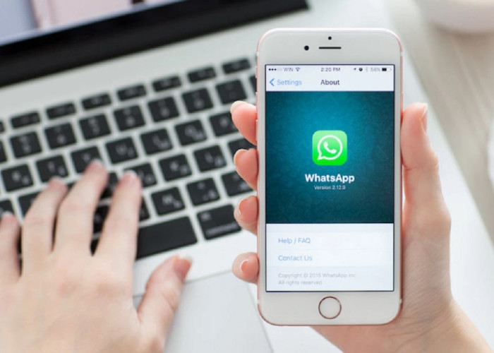 WhatsApp Messenger Luncurkan Layanan Proxy WhatsApp, Apa Fungsinya?