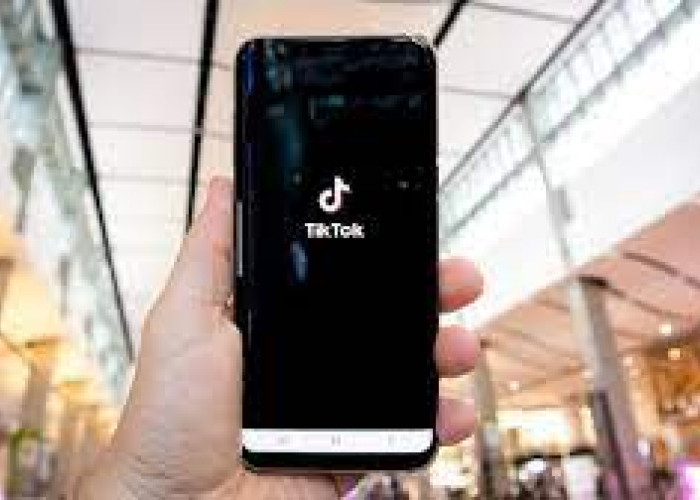 Project S Tik Tok – Bahaya Bagi UMKM ?