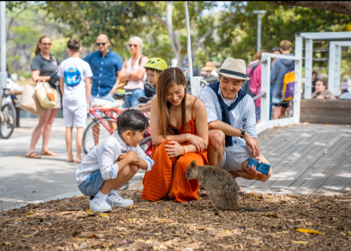 Liburan ke Rottnest Island Australia Hanya Rp800 ribu, Manfaatkan Promonya!