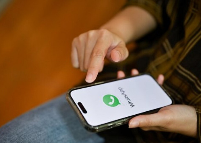 Aplikasi Whatsapp Aero Ilegal atau Resmi? Apa Sih Kegunaannya?