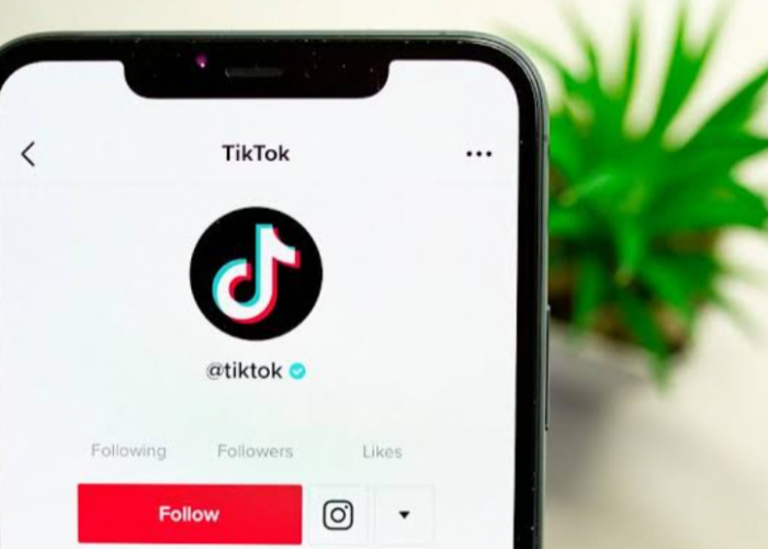 5 Cara Download Sound TikTok Termudah, Pakai Situs Ini!