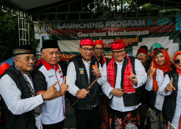 Mesin Betawi Penggerak Anies-Sandi, Bekerja untuk RIDO