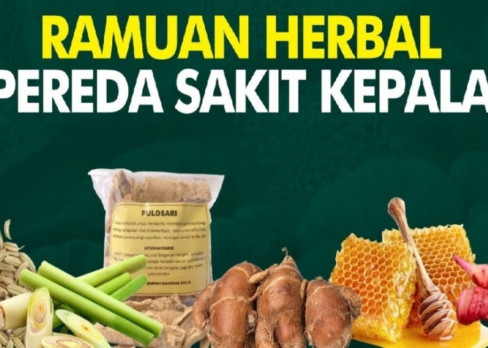 Lelah Dengan Sakit Kepala, Migrain dan Vertigo? Coba Obati dengan Herbal Ini