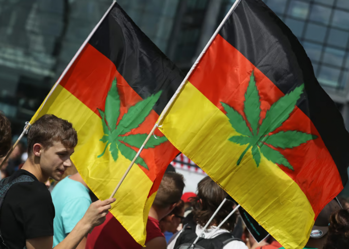 Jerman Resmi Legalkan Ganja untuk Usia 18 Tahun ke Atas