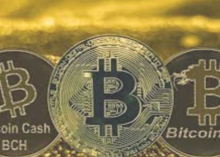 Prediksi Perkembangan Bitcoin Dan Turunannya  Yang Akan Dimulai Pada 2024