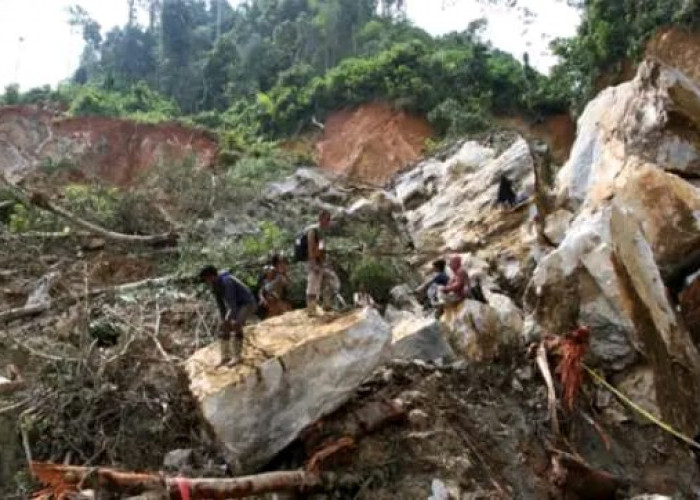 Tambang Ilegal di Solok Longsor, 15 Orang Tewas, 7 Belum Ditemukan